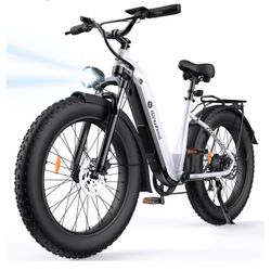 Ebike