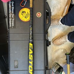 Easton SL1 Baseball Bat