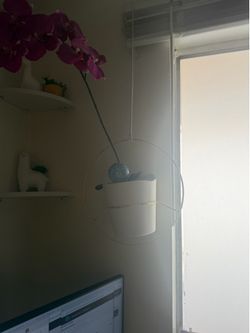 To hanging plant holders golden white