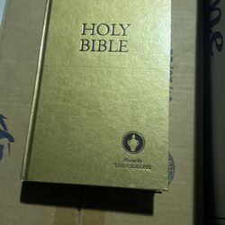 Holy Bibles 