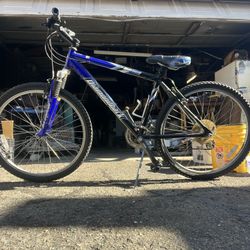 Blue Diamond Back Bike sorrento