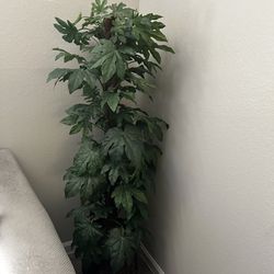 4.5ft Fake Plants