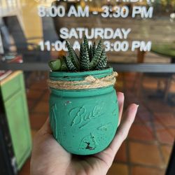 Distressed Chalk Painted Mason Jars With Succulents Or Flowers 