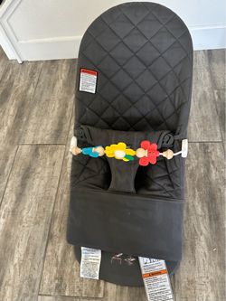 Baby Bjorn Bouncer Chair