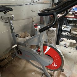 Sunny Exercise Bike