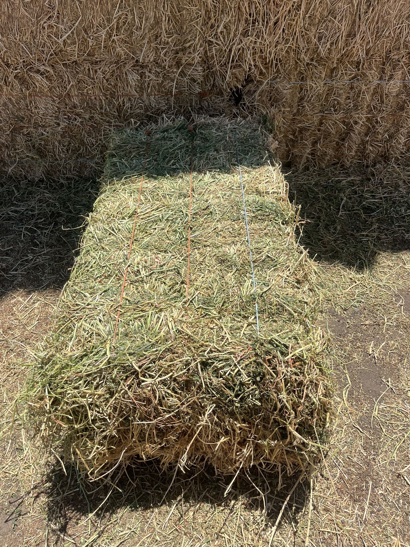 Alfalfa Hay