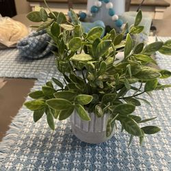 Una plantita artificial