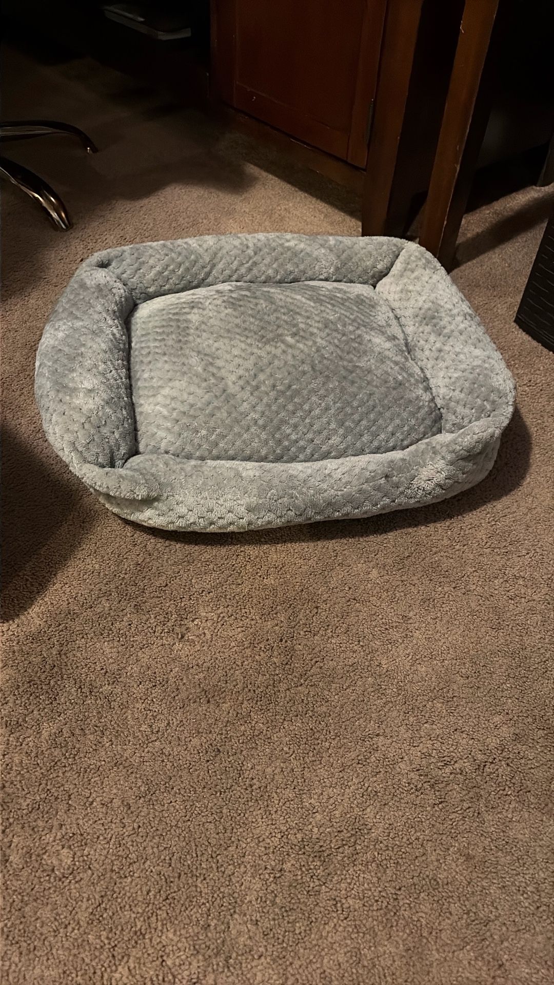 New Top Paw Bed