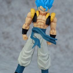 looking for kamione gogeta or shf gogeta willing to trade for shf toji or any on my page