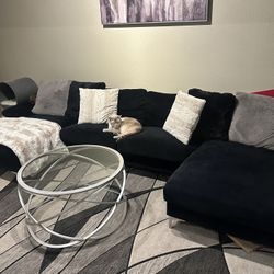 Sectional U Shaped Couch