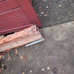 FREE 9x4 Beam 6 2x4s Glued Together Free 7 Ft Long