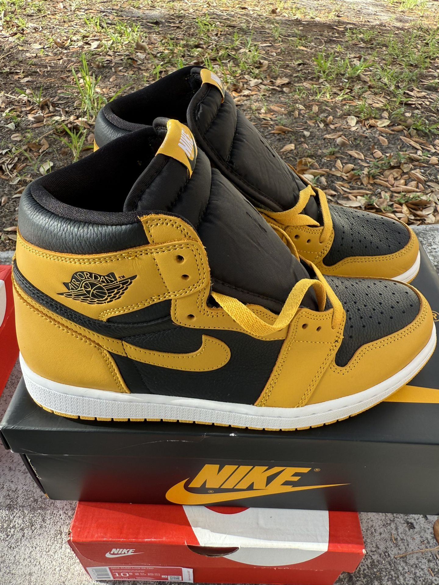 Jordan 1 Pollen