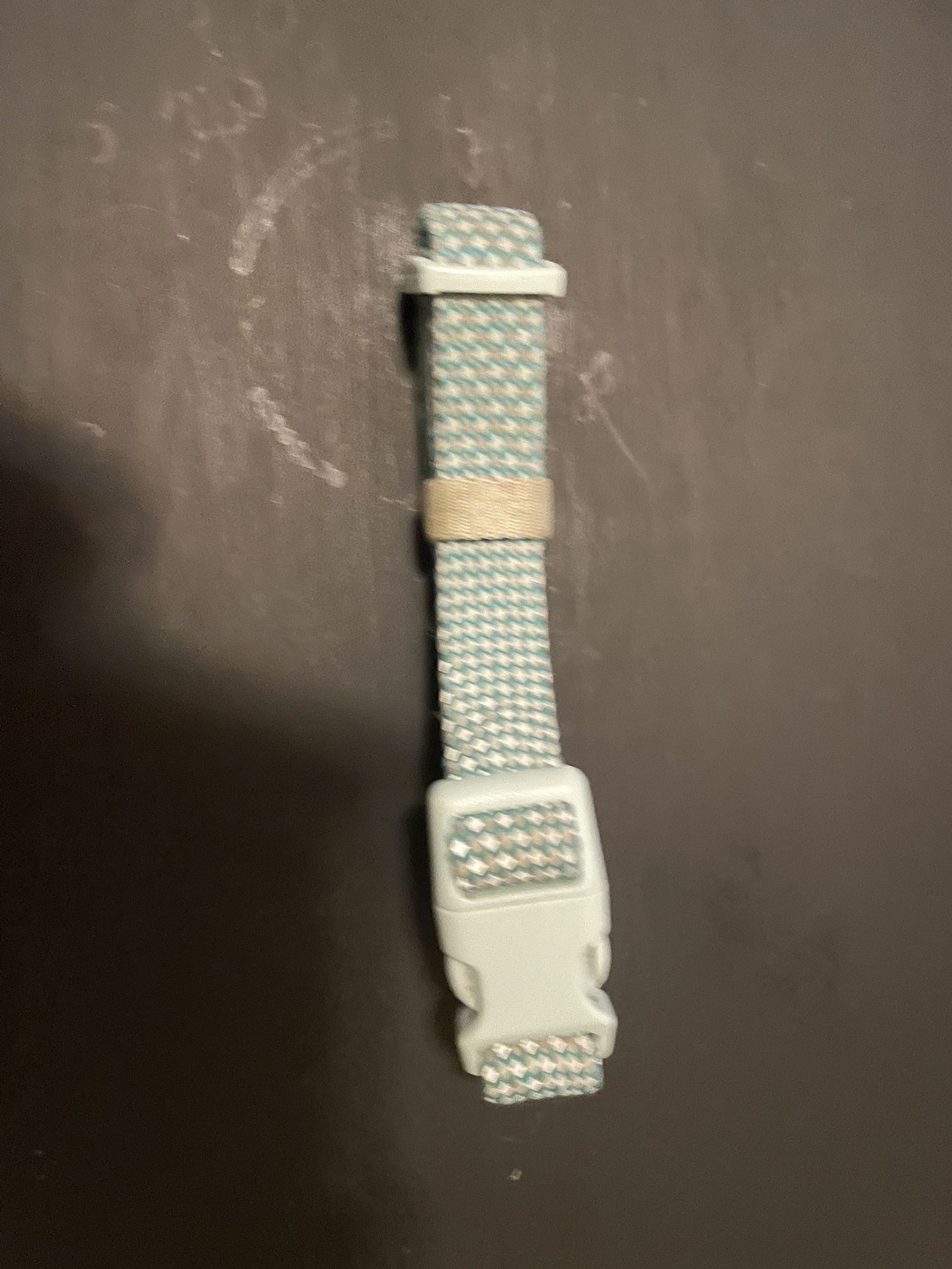 Blue Dog Collar