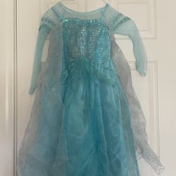 Elsa dress! 