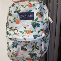 JanSport Backpack