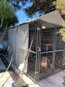 Retriever Dog kennel