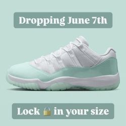 Igloo Jordan 11s Size 9