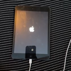 iPad Mini