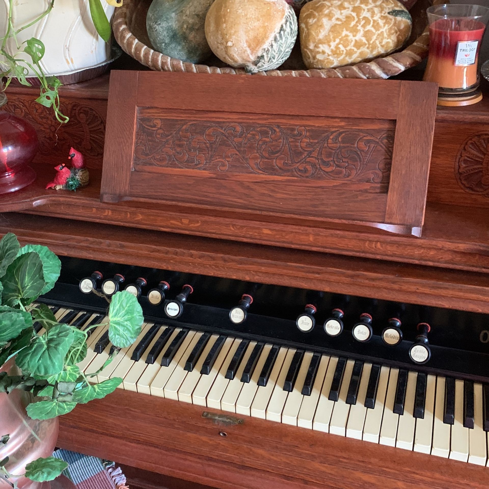 Pump Organ