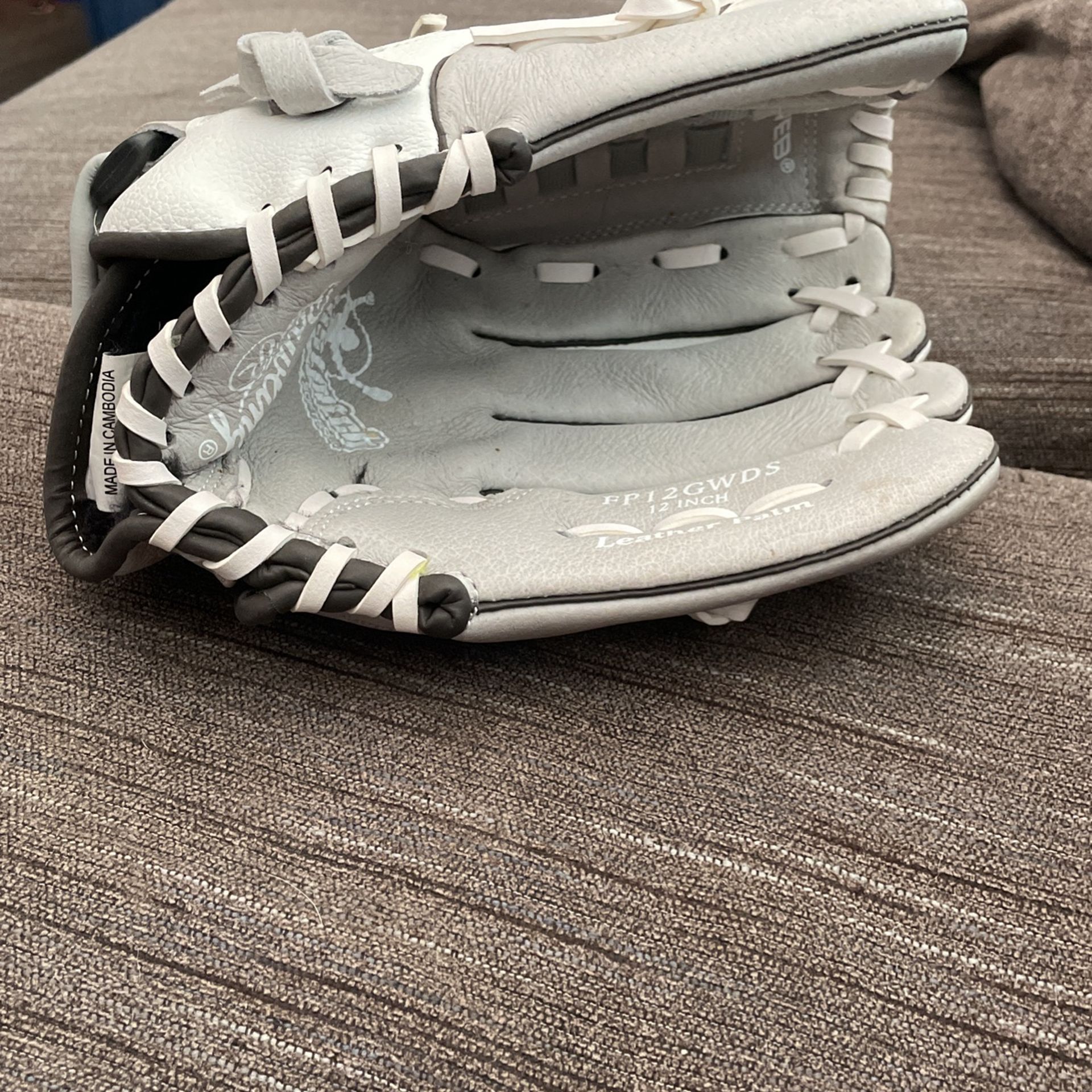 Softball Glove Rawlings