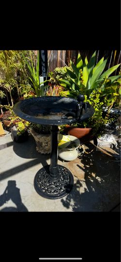 Bird feeder