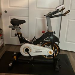 Exercise Bike (including Bike Mat)