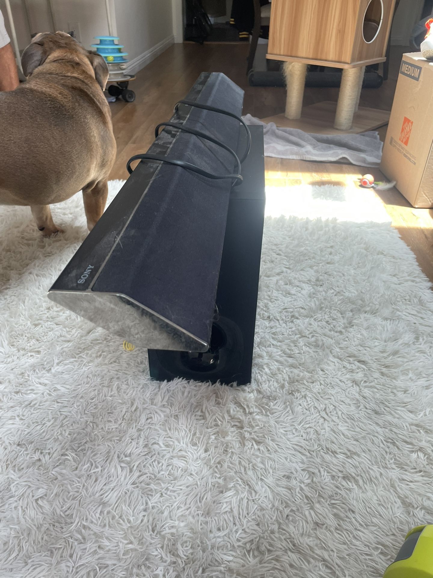 Sony Surround Sound Setup