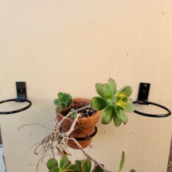 Bathroon Decpration Flower Pot Holder 3pcs Set.