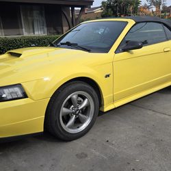 2001 Ford Mustang