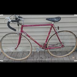 Vintage Miyata 310
