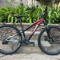 26” Specialized P.1 AM Bike