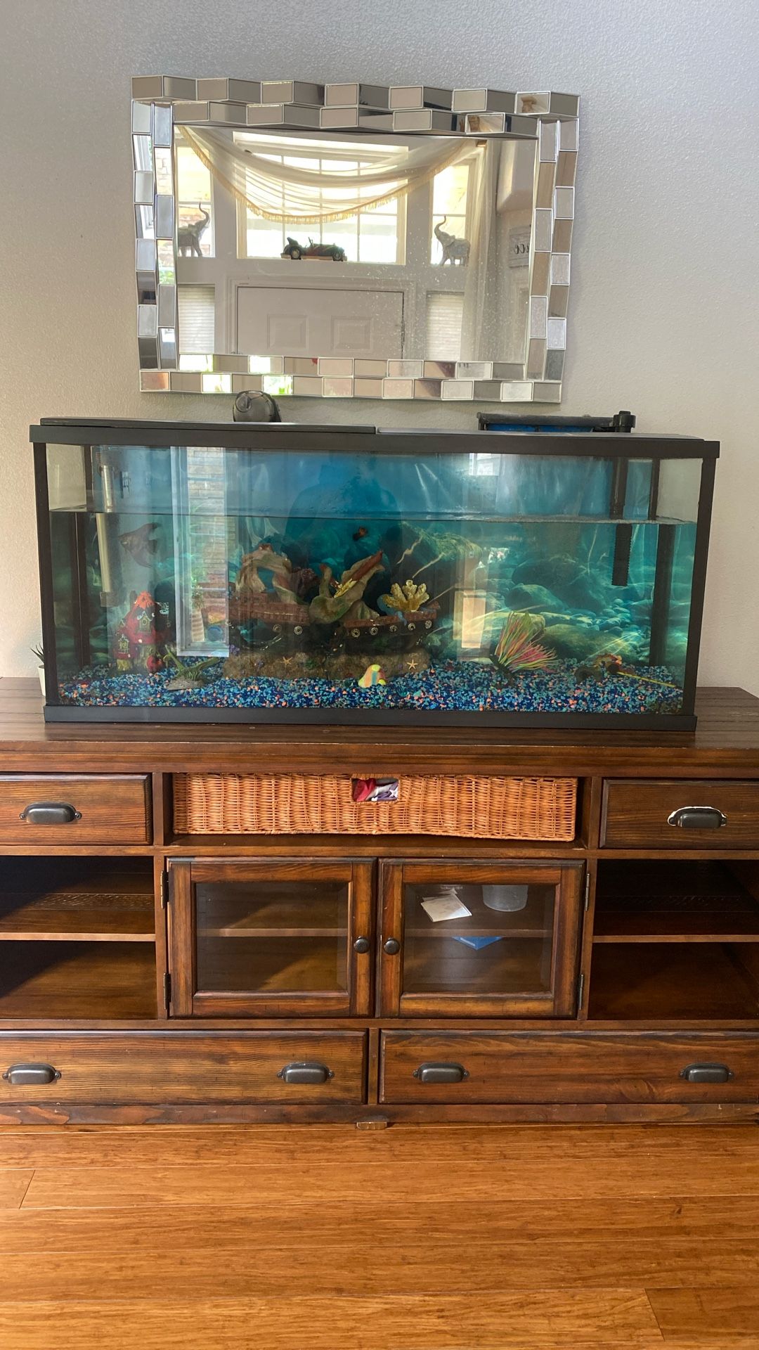 Fish Aquarium