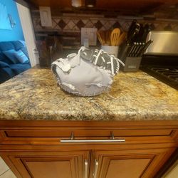 Jen Schro Pro Catchers Mitt  34