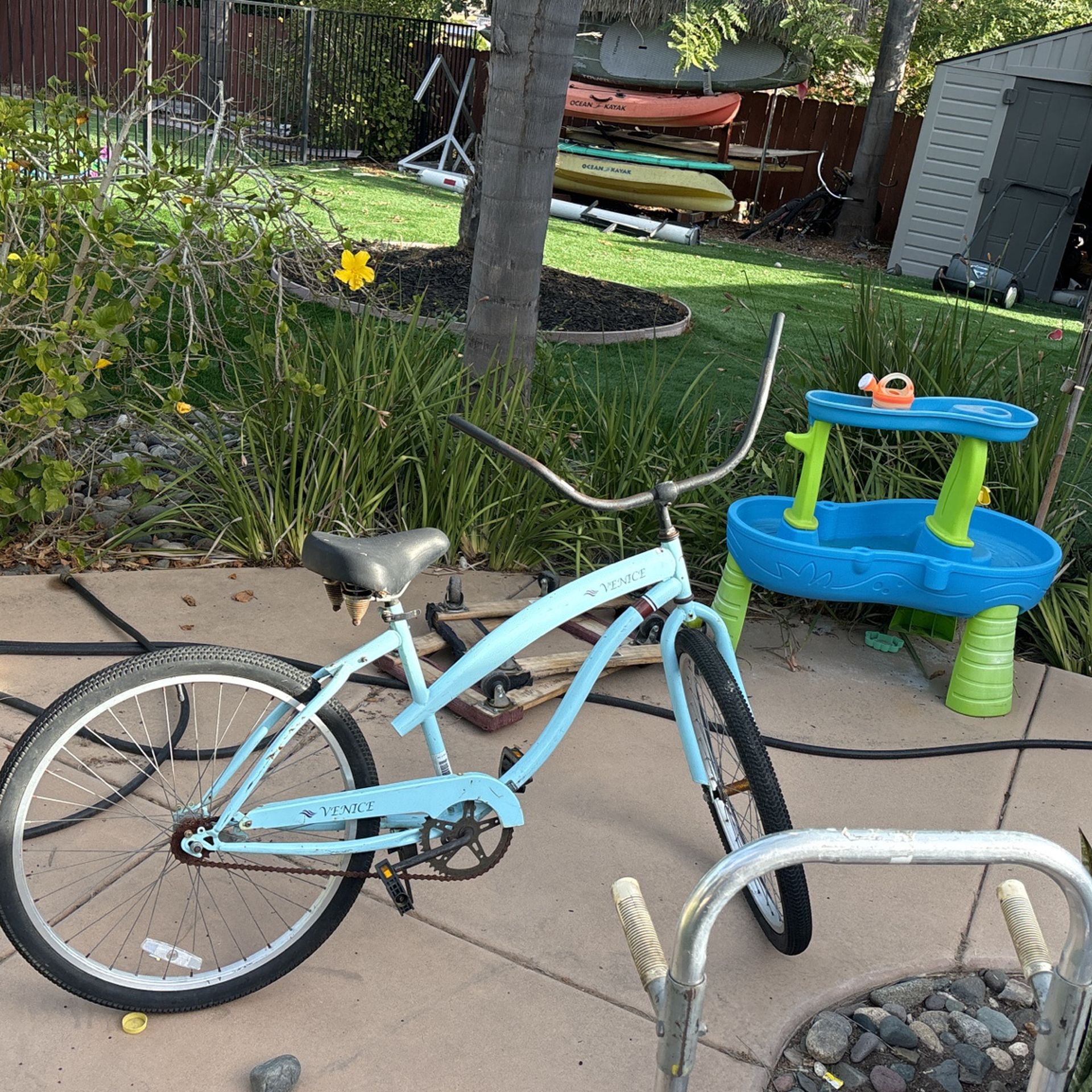 Ladies Beach Cruiser 