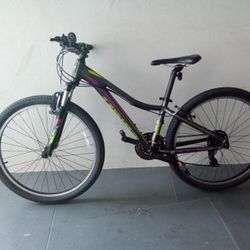 BICYCLE LIV GIANT 21 SPEED BRAND NEW 