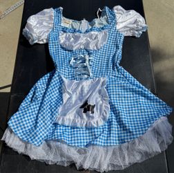 Halloween costume $10
