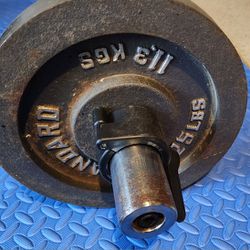 Olympic curl bar and 50lb plates
