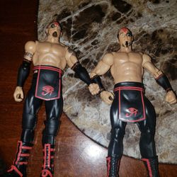 Wwe Tag Team Ascension Action figures