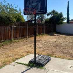 Lifetime Basketball Hoop