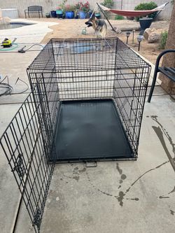Dog Kennel