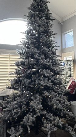 12 Foot Christmas Tree