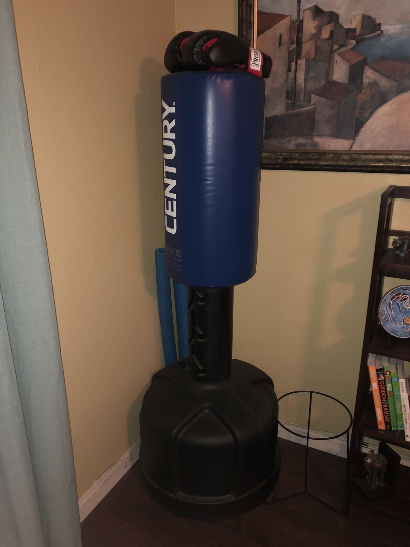 stand up boxing bag/boxing gloves