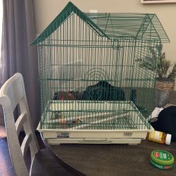 Bird Cage 