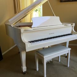 Samick Baby Grand Piano!