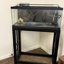 20 Gal aquarium tank for sale