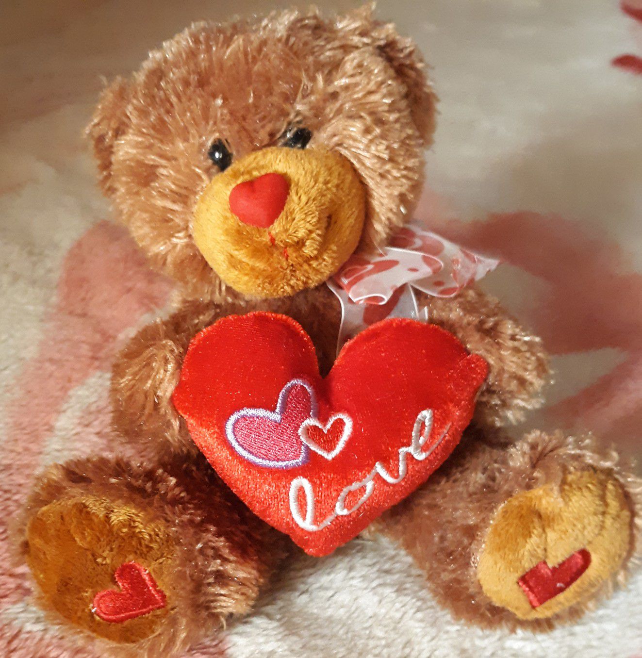 Cute valentine's bear