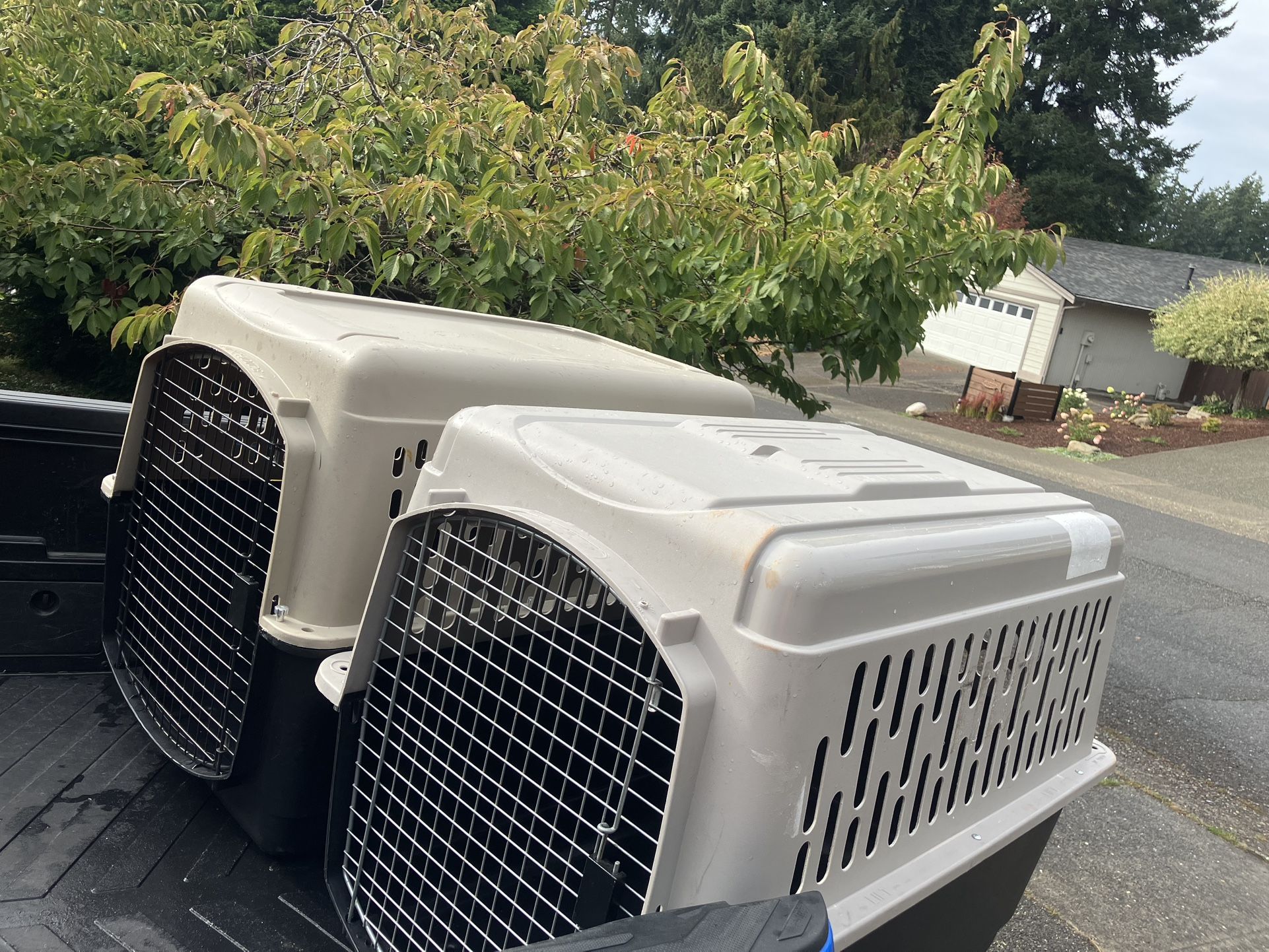 XL Extra Large Dog Kennel Crate Airline Approved 40 “ Long 27” Wide 30” High $75 Each