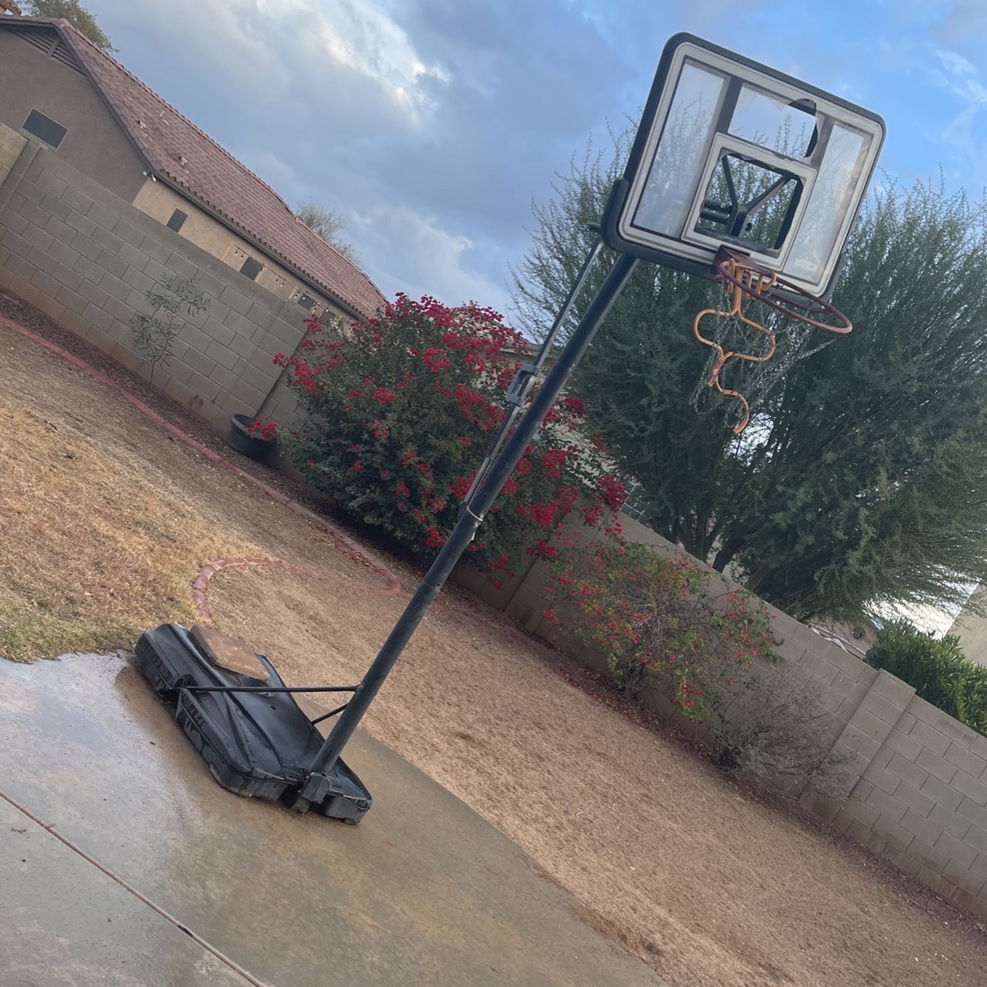 Basketball Court Hoop