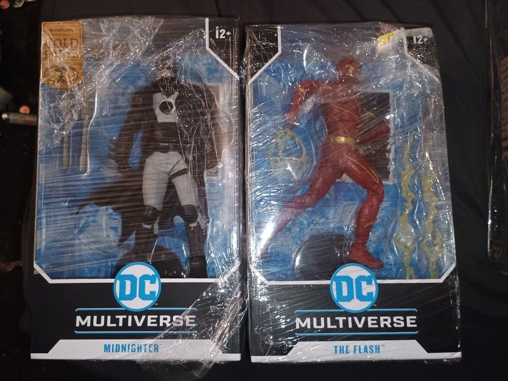DC Multi Universe DC McFarland The Flash And Batman