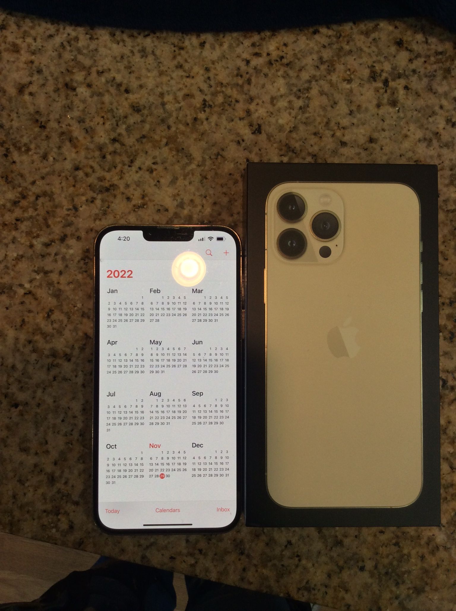 iPhone 13 Pro Max